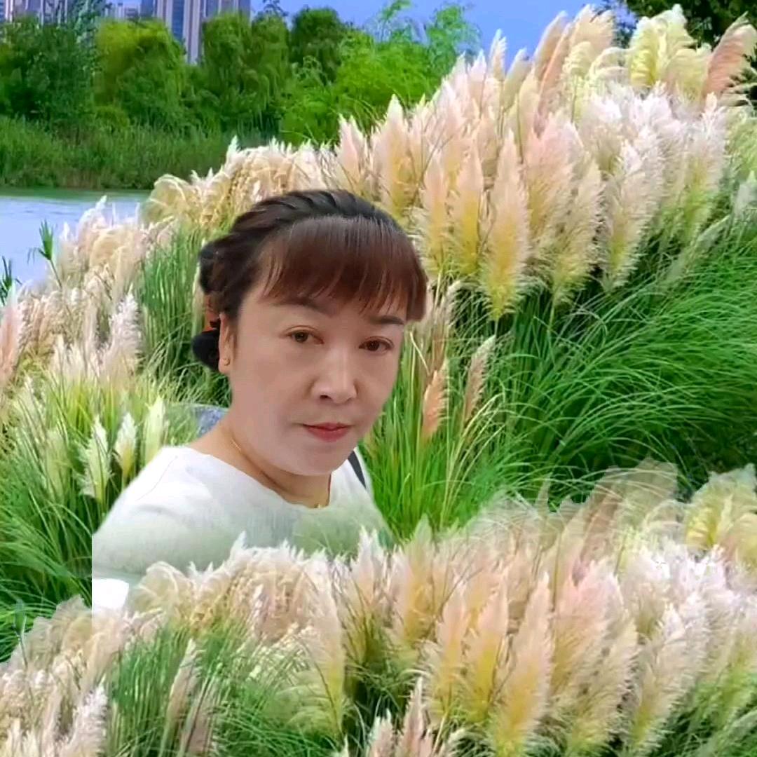 🌈柞水🌈蔡姐🌈