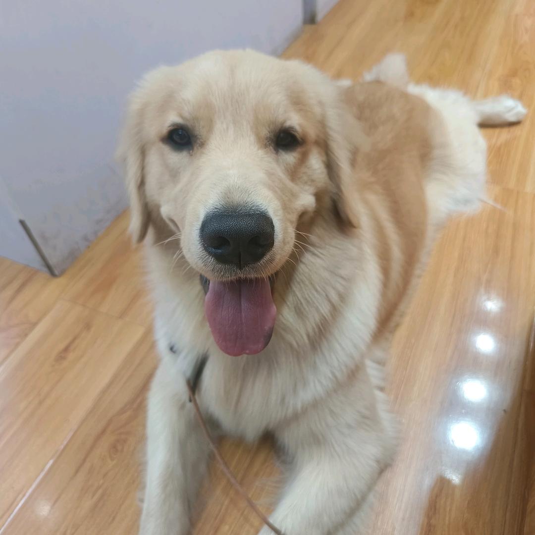 闹闹
