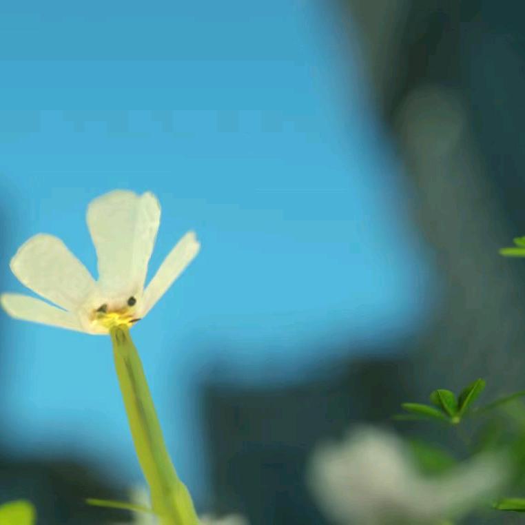 小妹