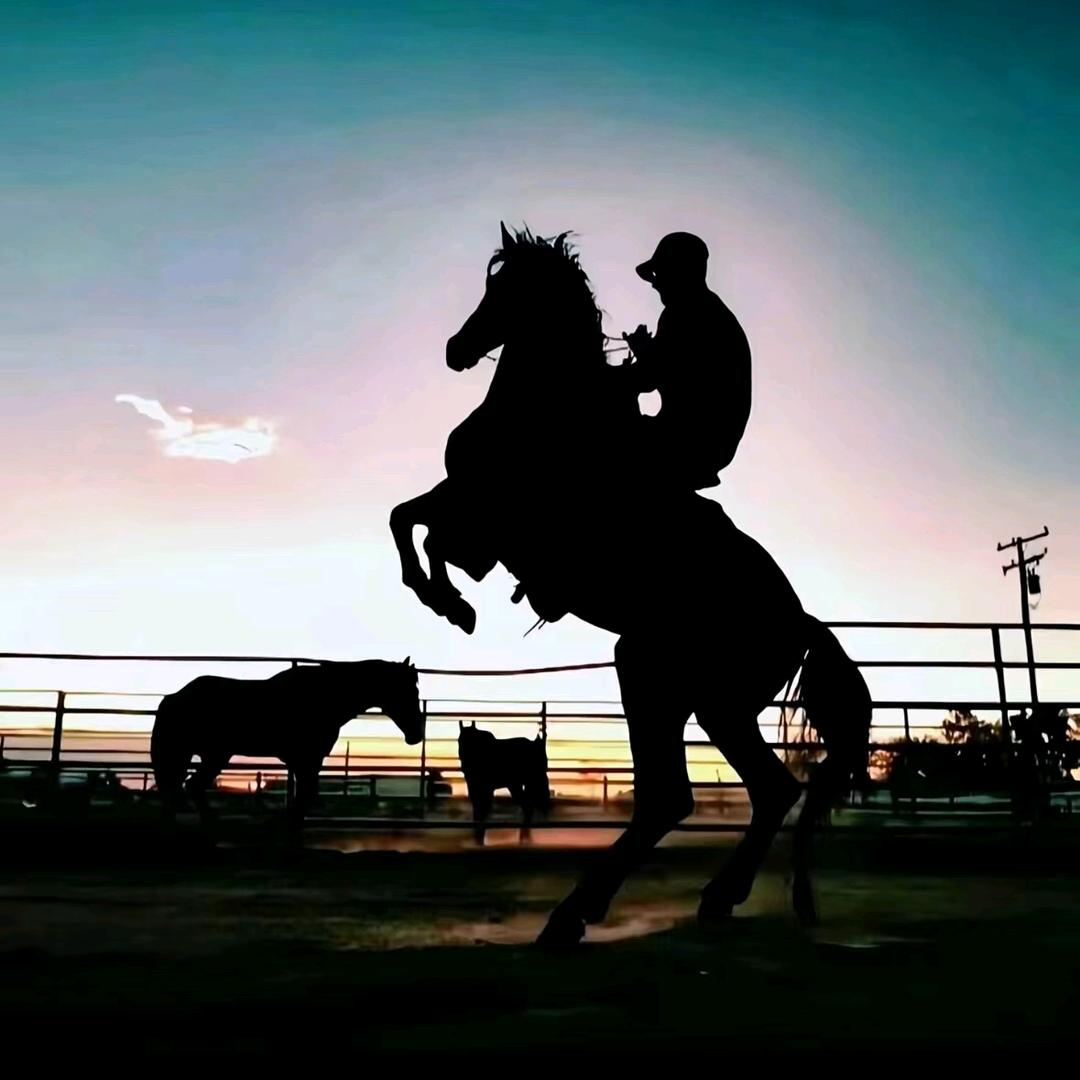 西安特地建材杨宪磊