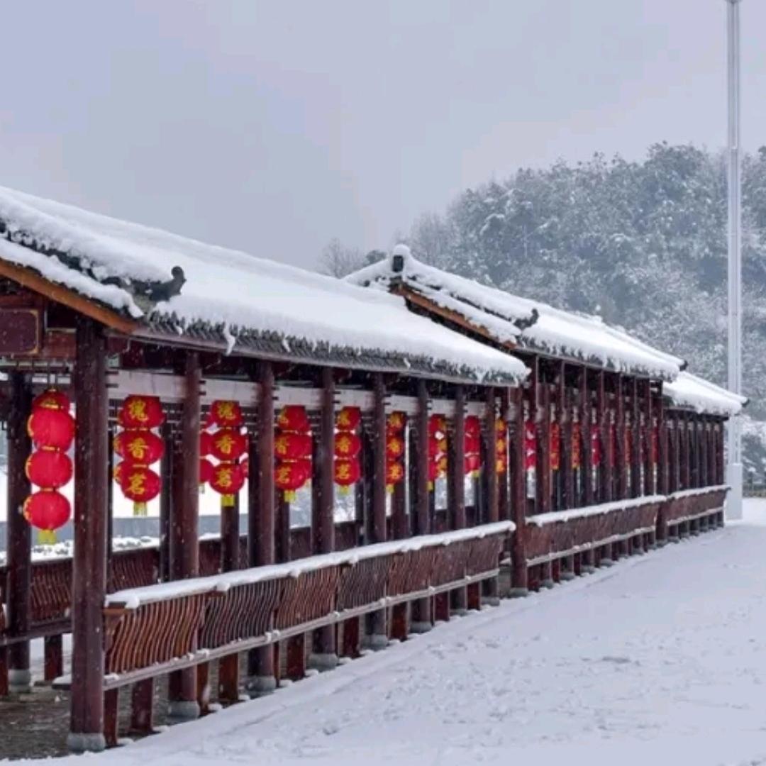 林🇨🇳楚臣💝