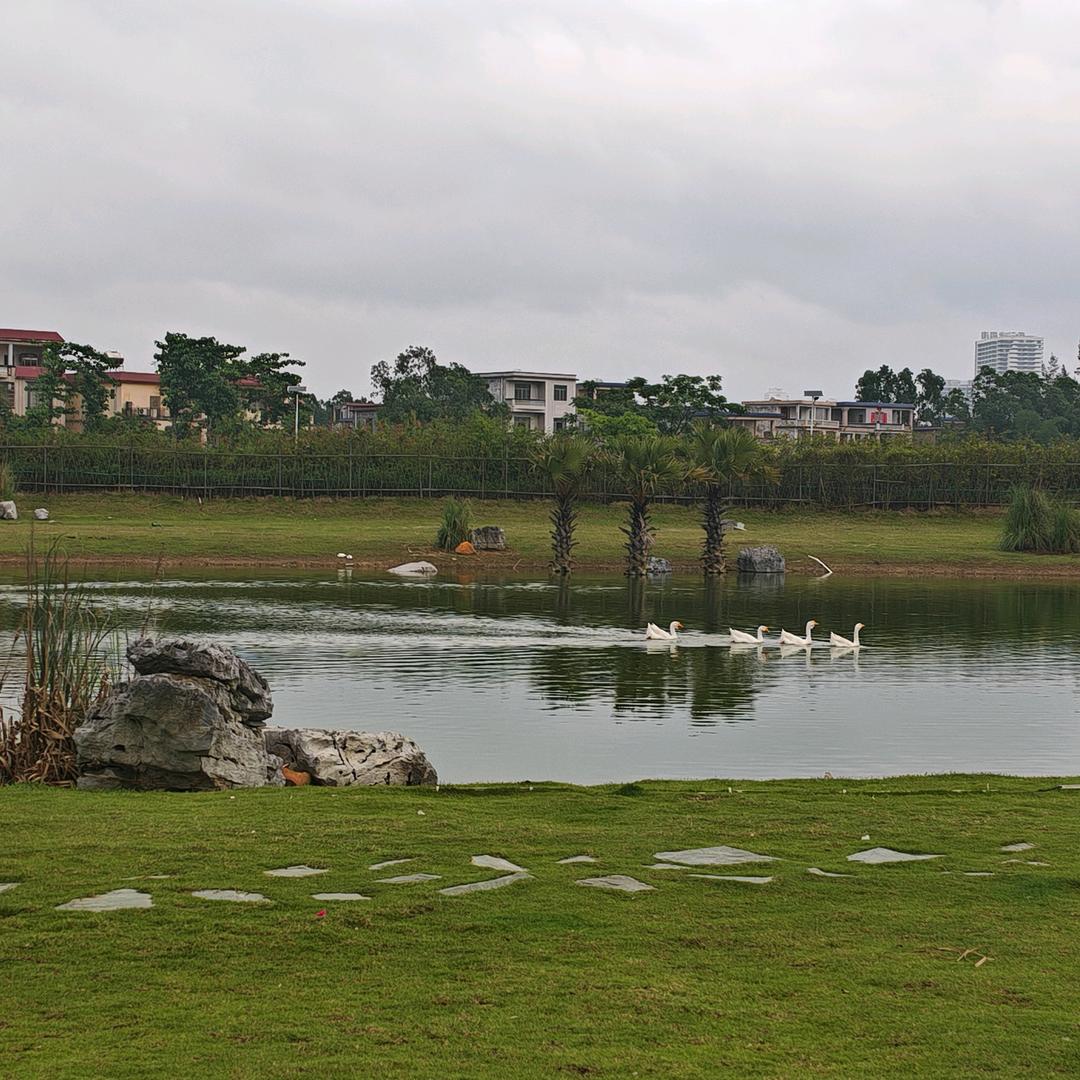 努力奋斗每一天