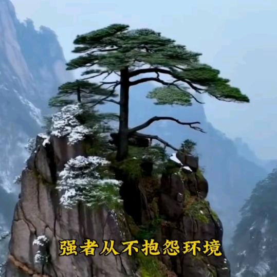 时间是个好东西