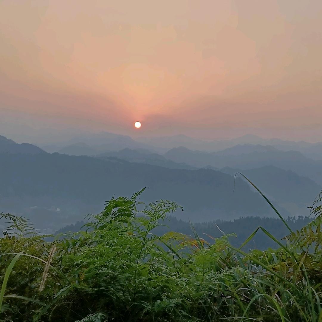 持子之手，与子偕老