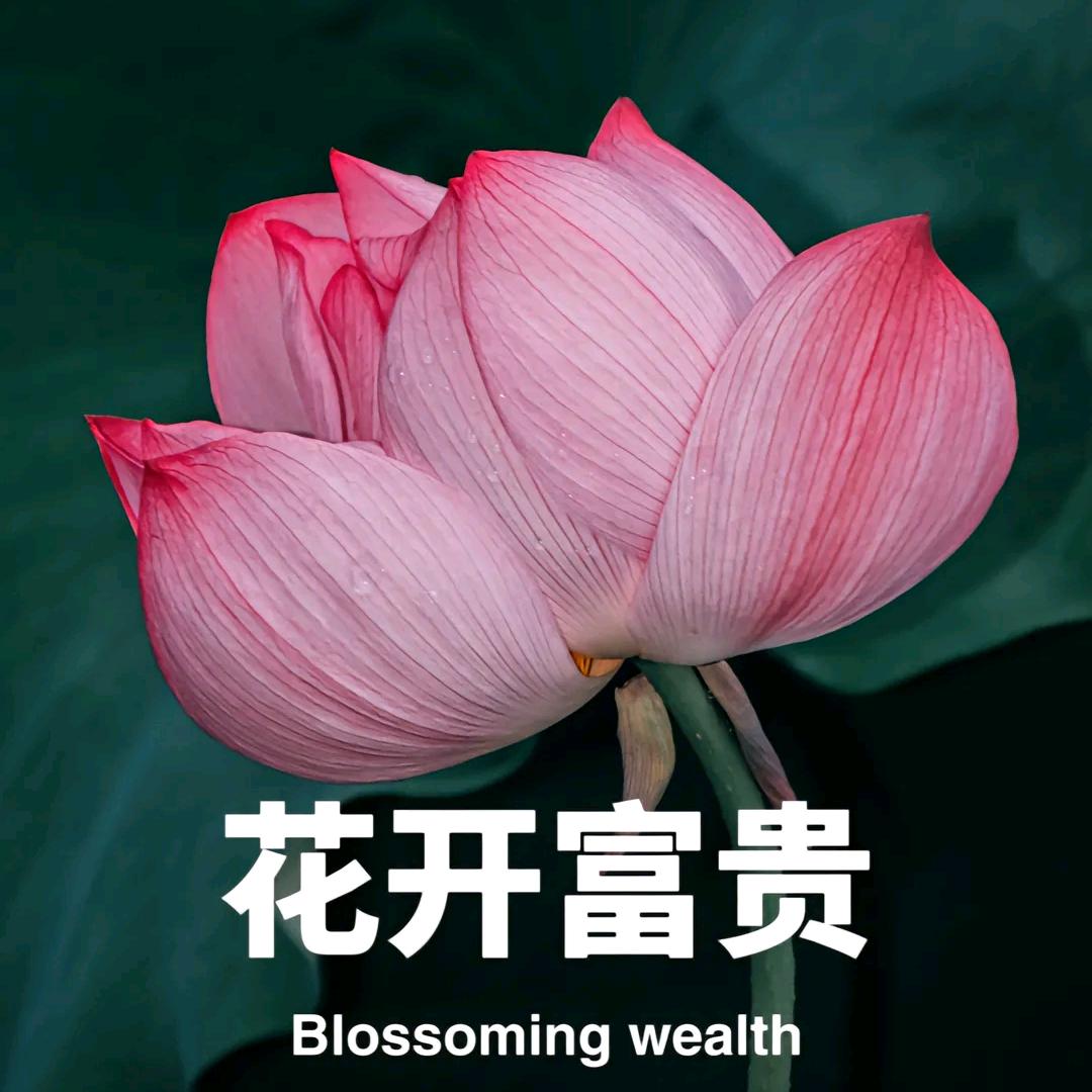 幸福快乐一生