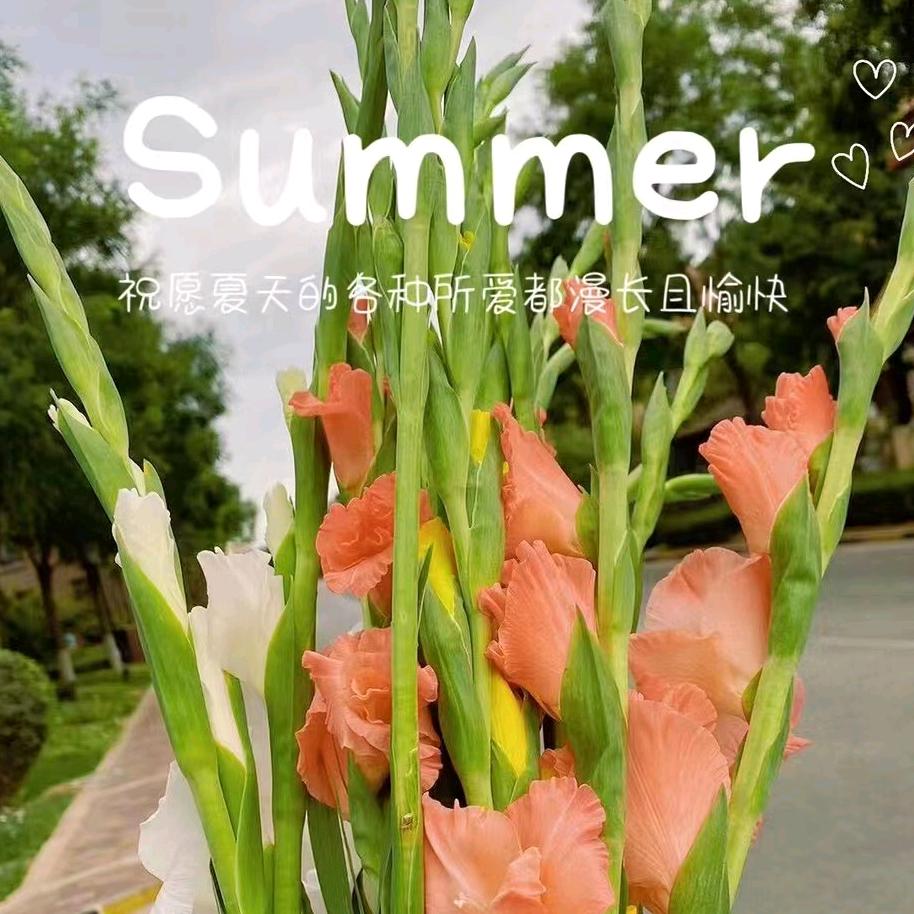 含含（唐卡供货商招代理）