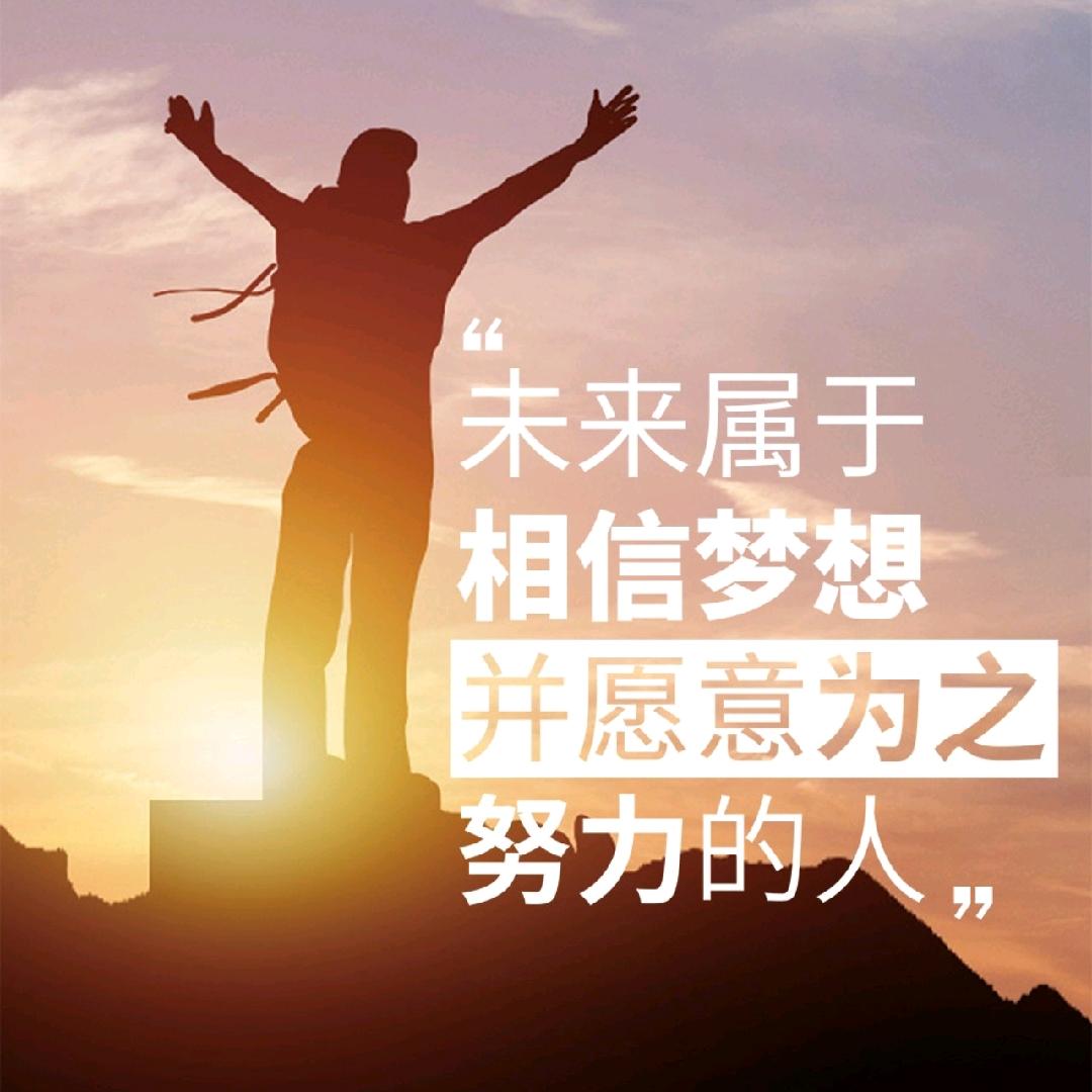 虫虫