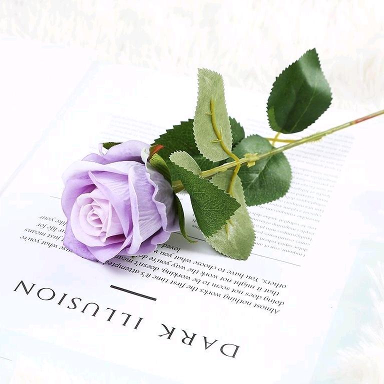 桑桑桑葚（来财版）