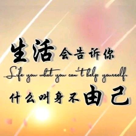 🥀᭄简活当下💕