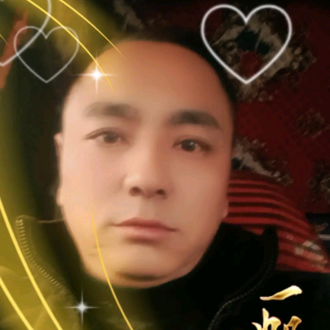 金菊之恋