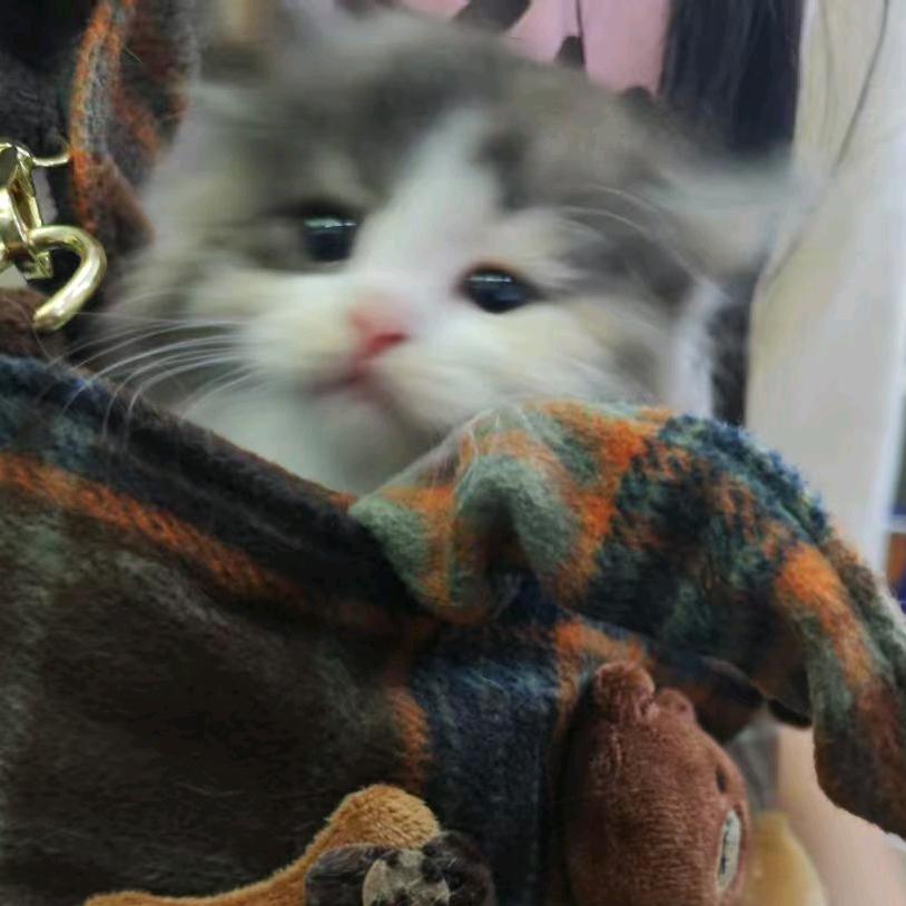 清风拂面