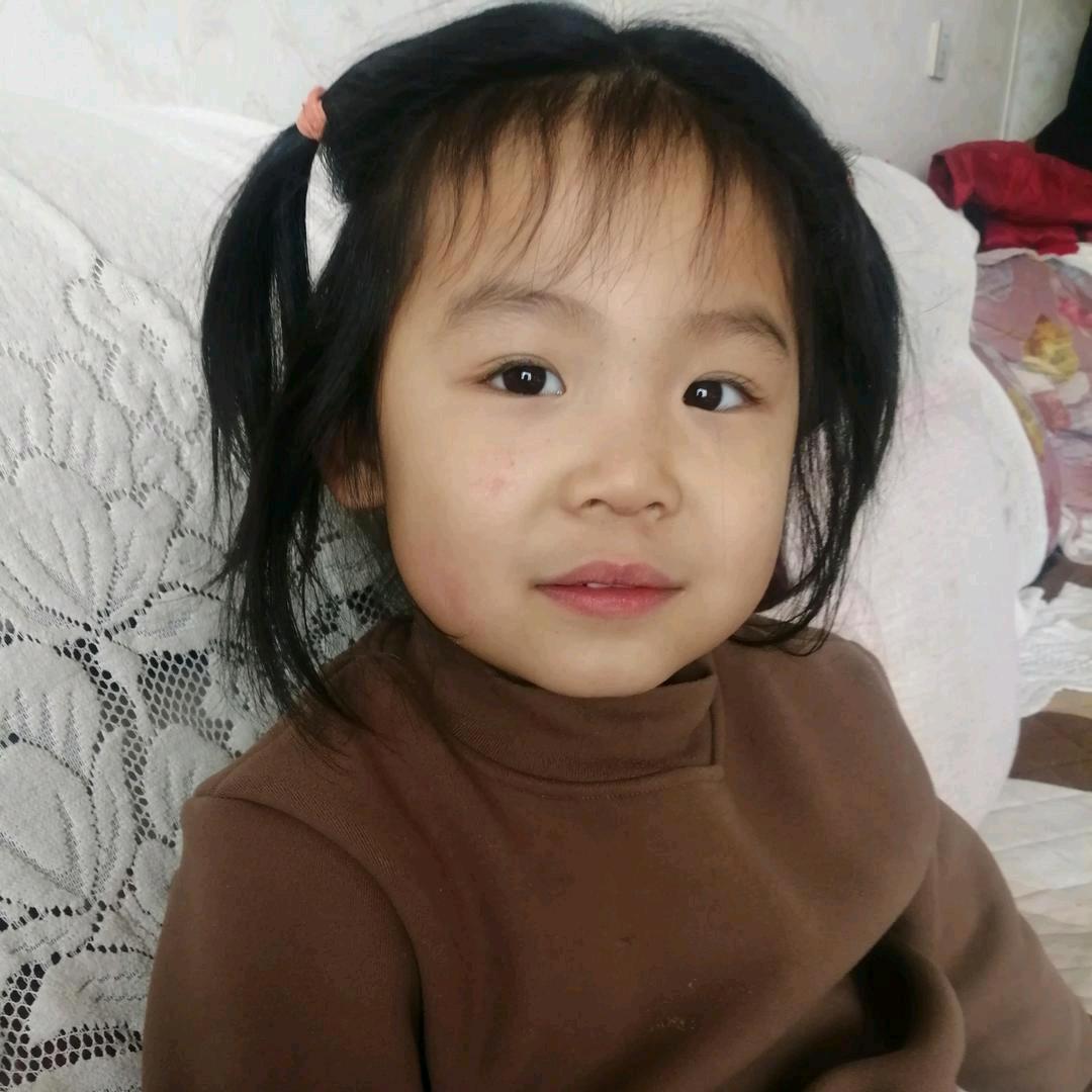 迎春梅花