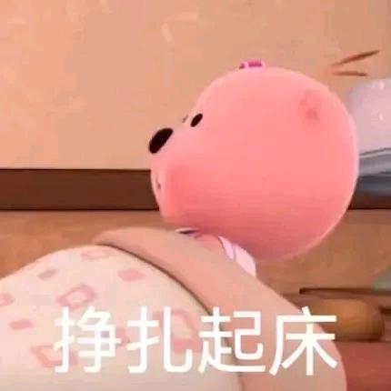 西红柿不生🍅