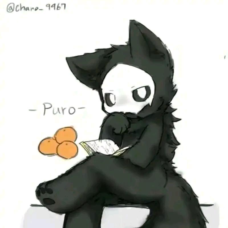 一只黑