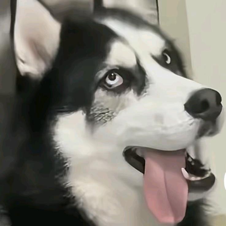 提笔诉江山