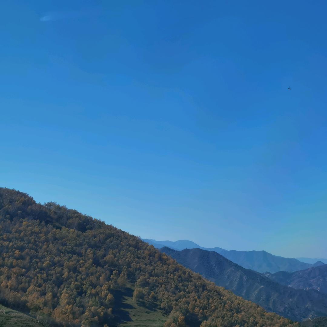 陌流溪