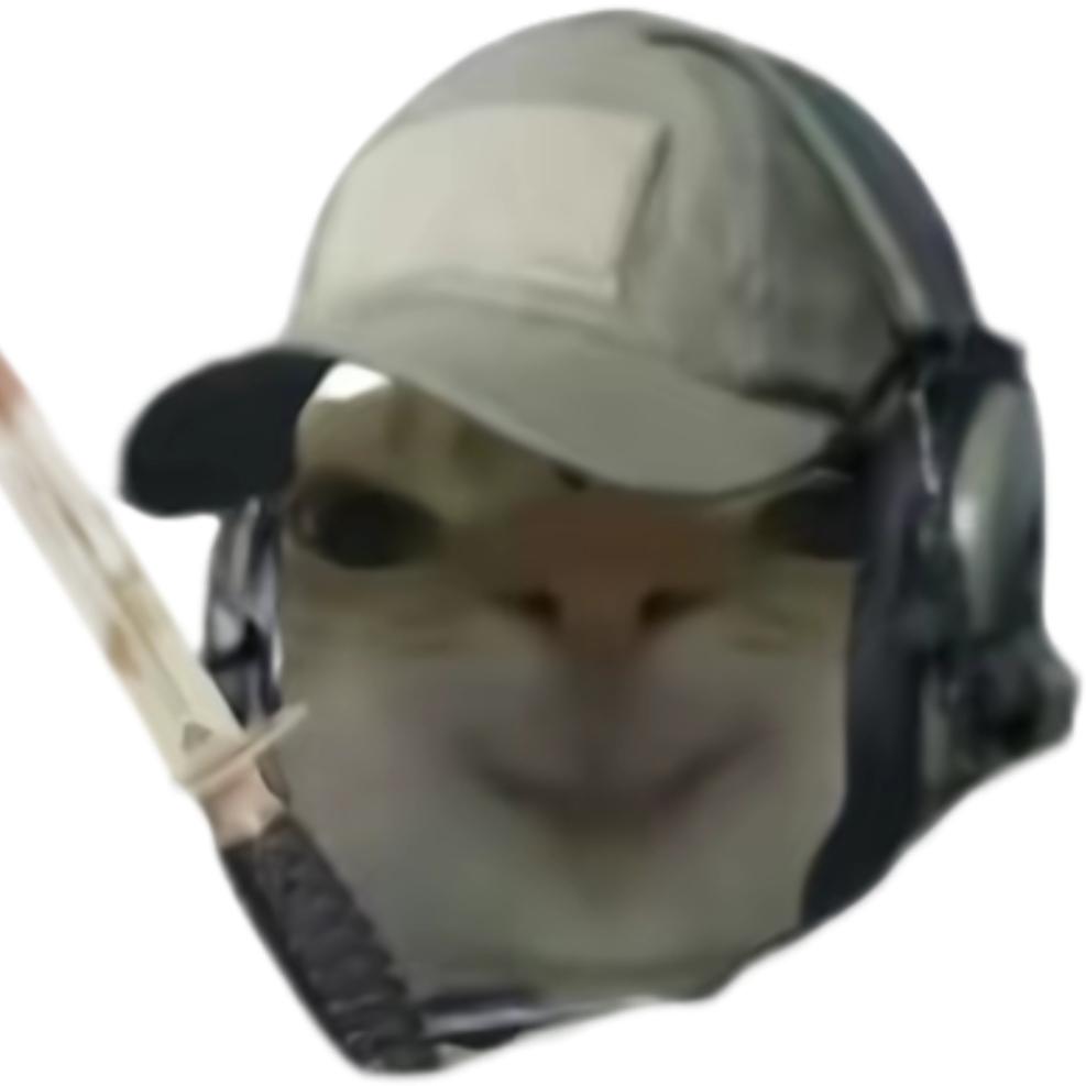 哈基鼠