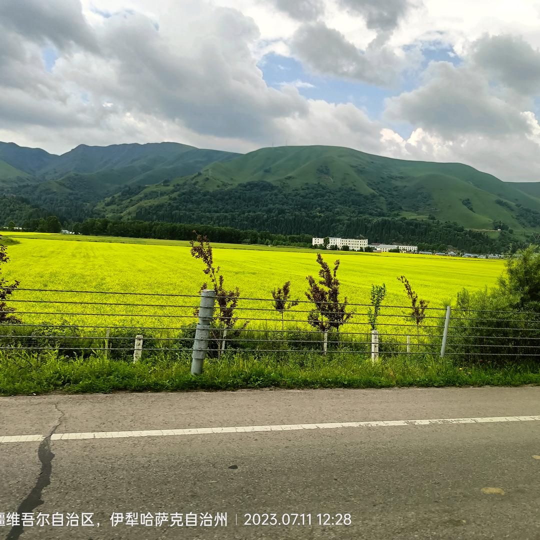 听    见    风