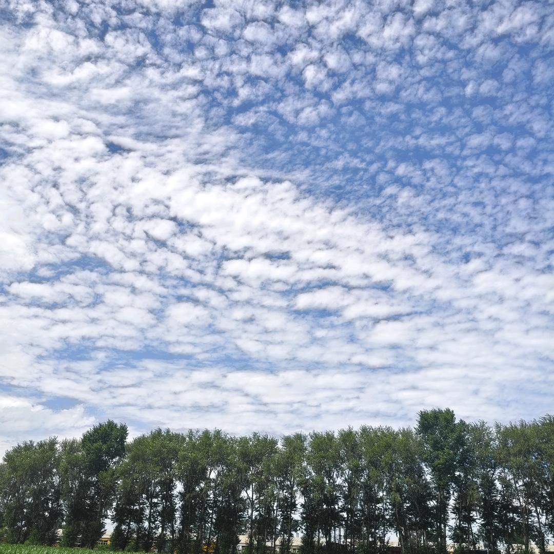 对方正在输入6389