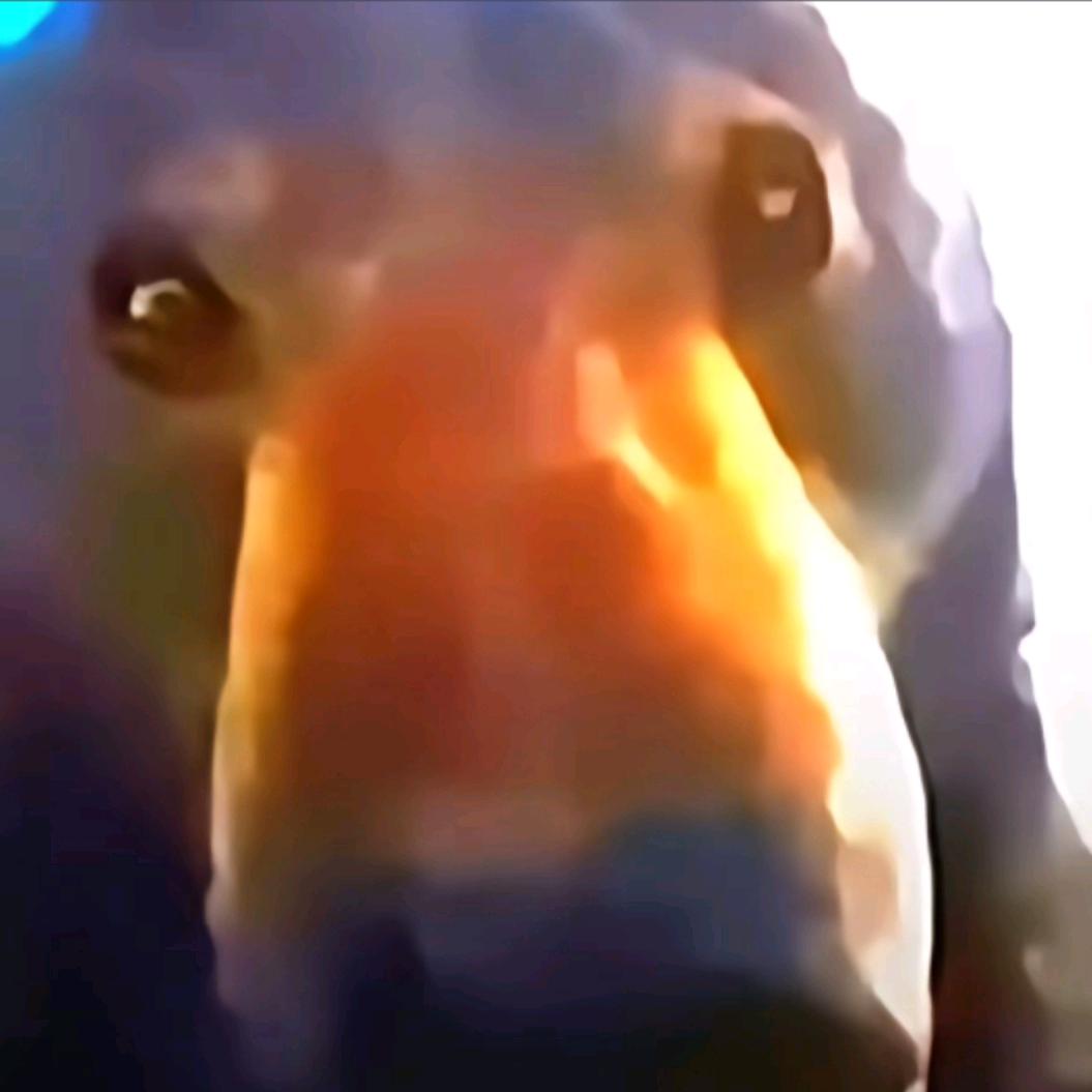 熊