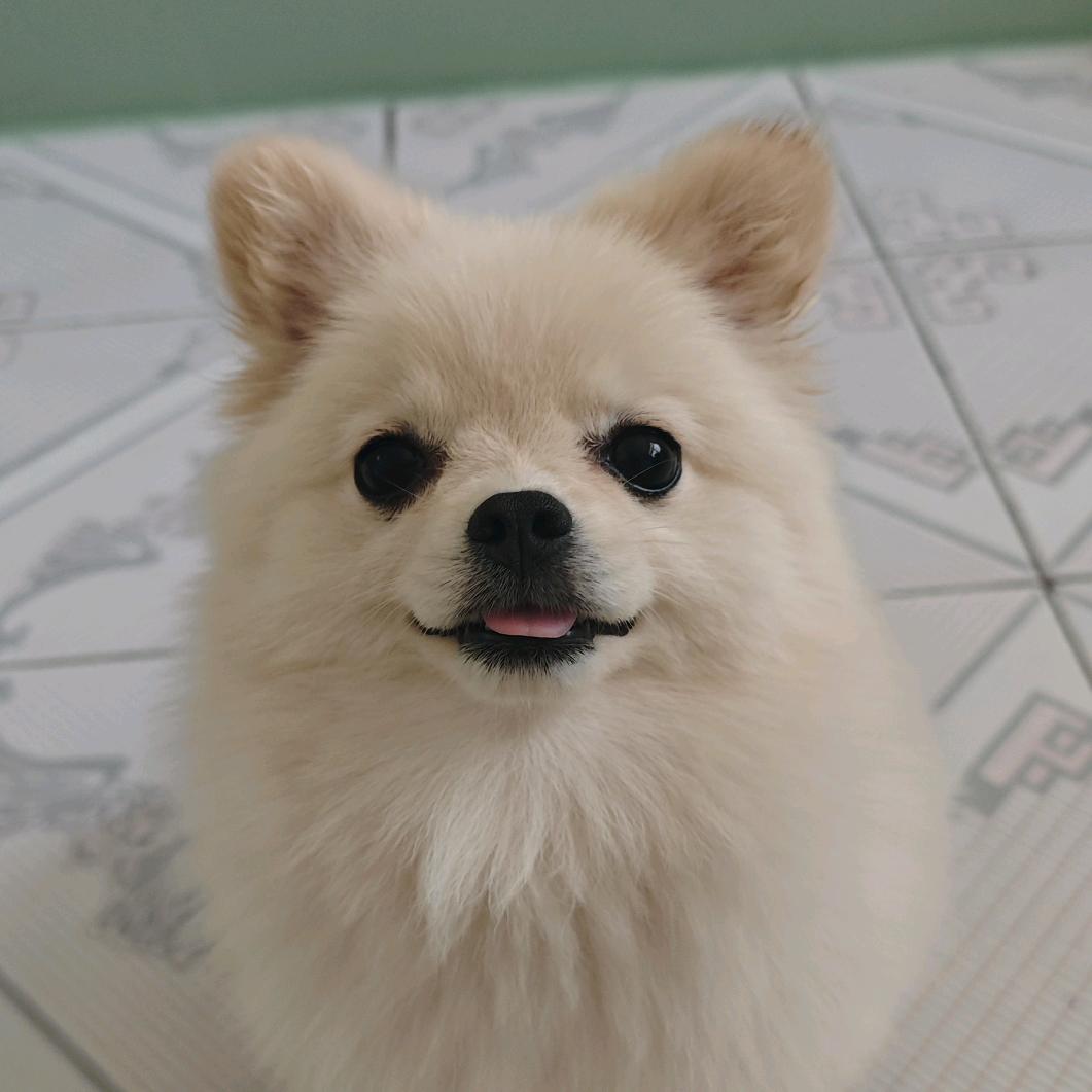 郑能量