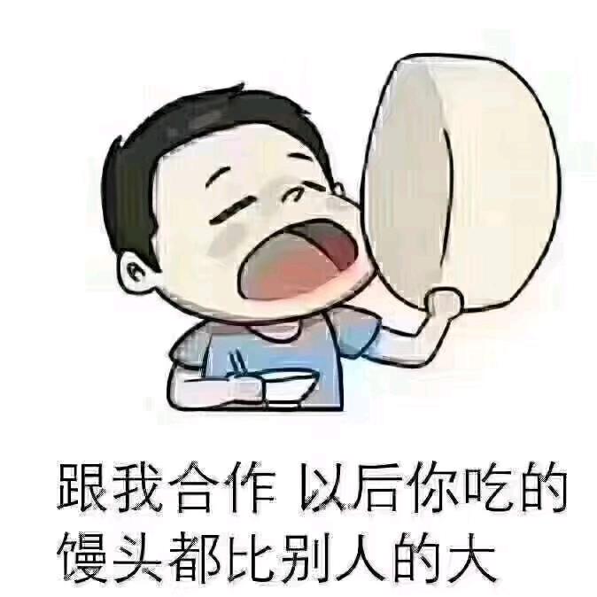 ANG  犟驴