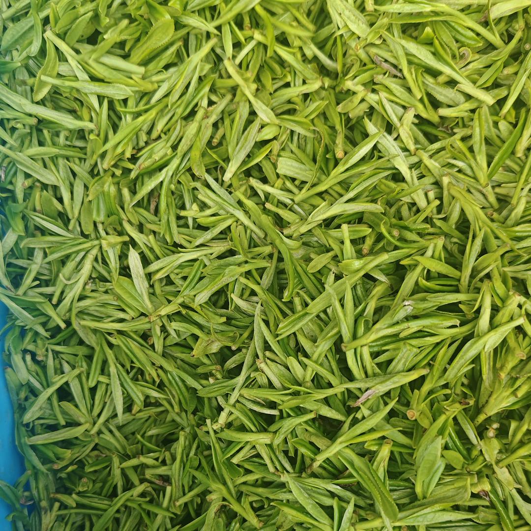 石虎