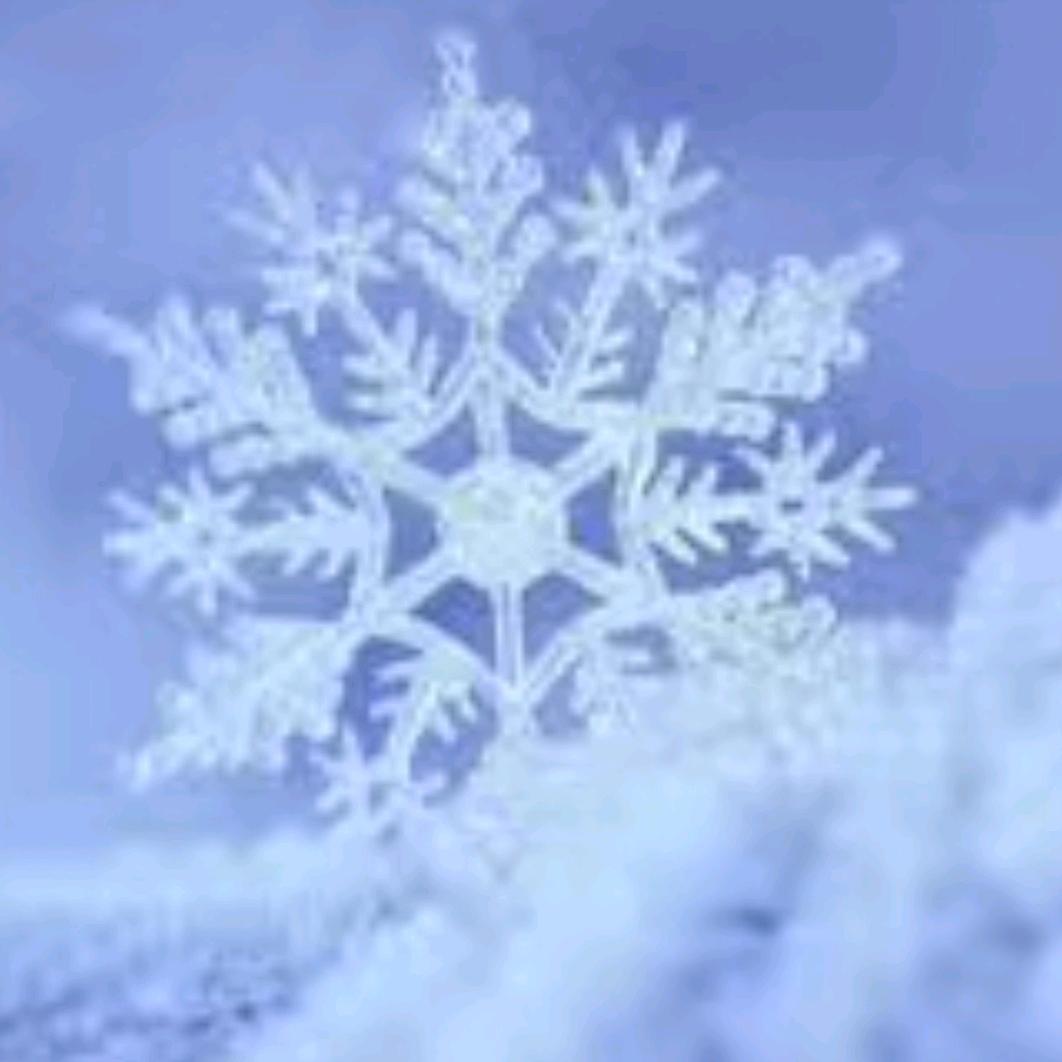 雪色浪漫🌹
