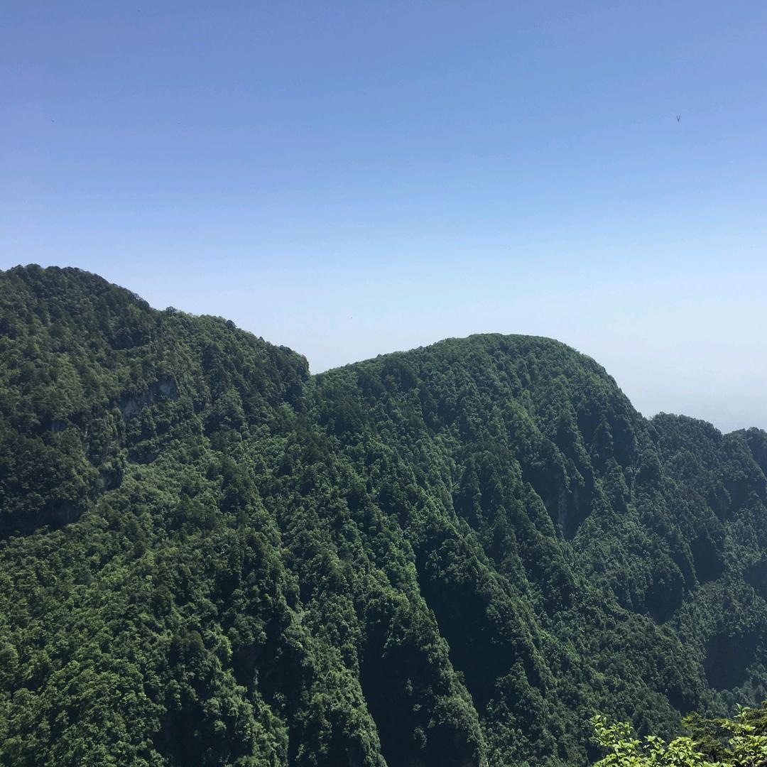 CFM悠悠牌娱乐局