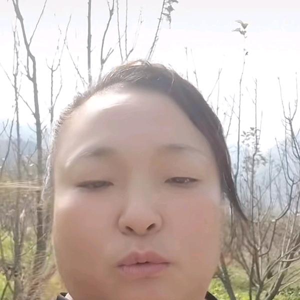 陆大孃