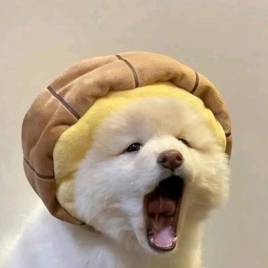 不爱吃红薯