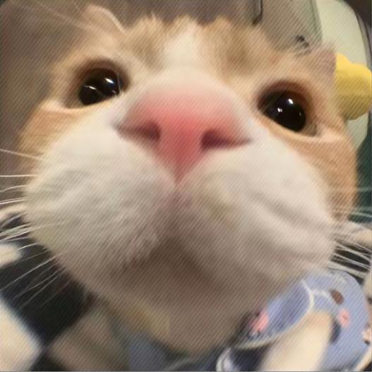 祈