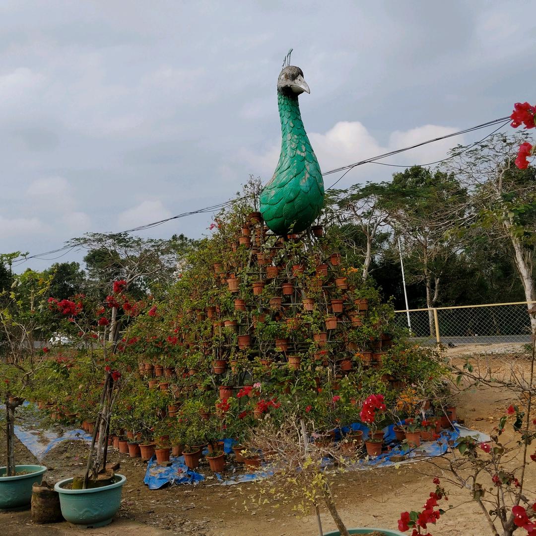 天亮湖孔雀山庄