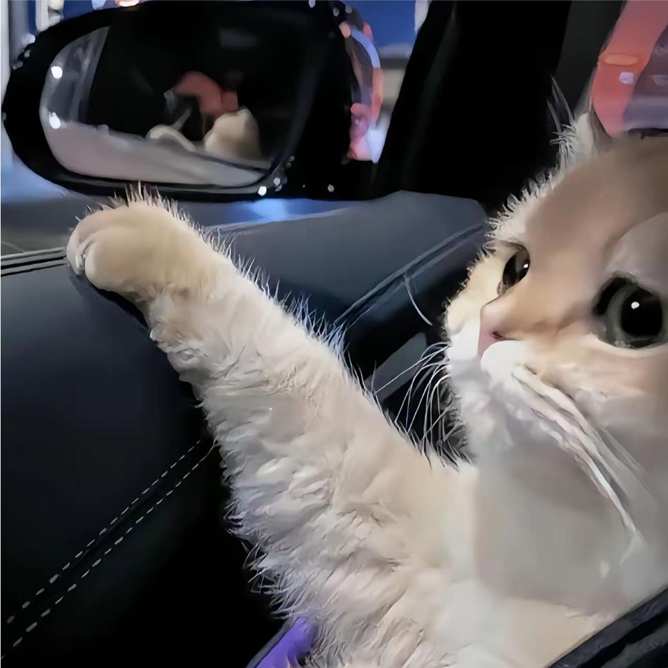 《拉货出租车》4米2