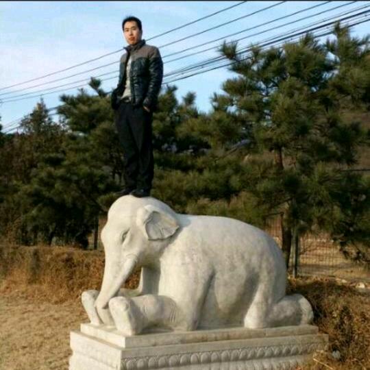 涿州市精韵装饰装修店