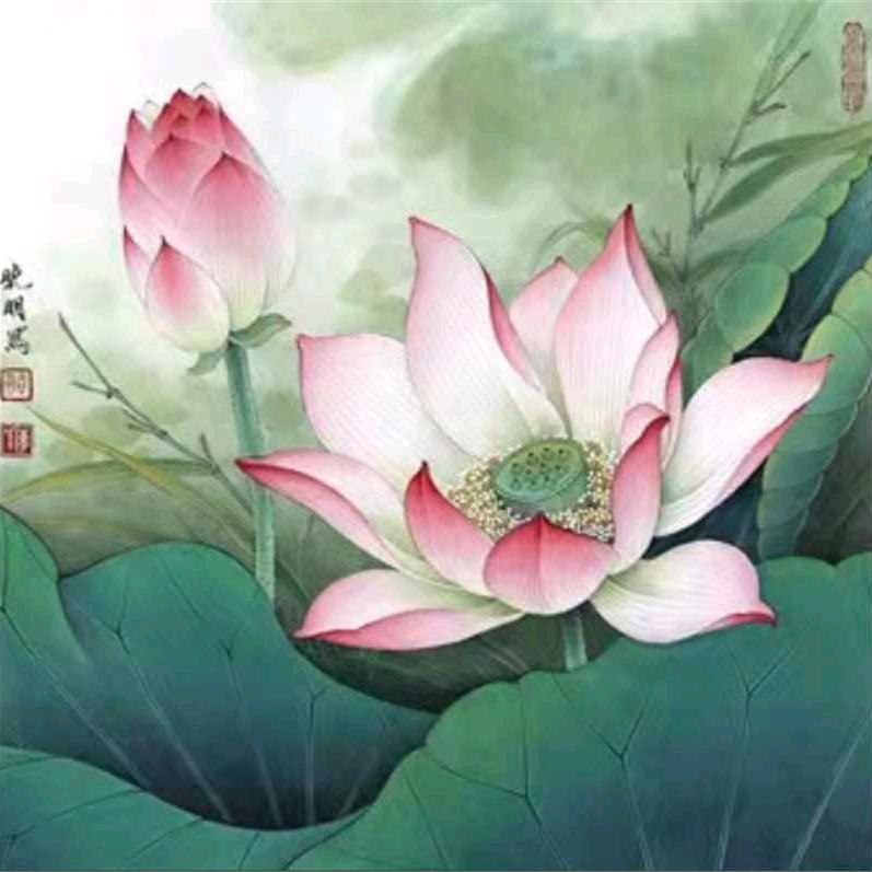 🍀🌹修身养性🌹🍀