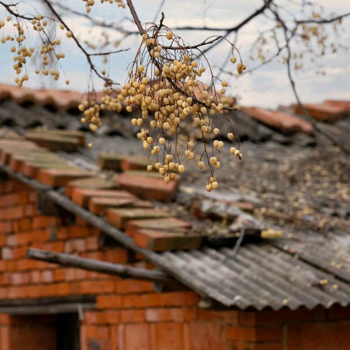 记录日常生活号