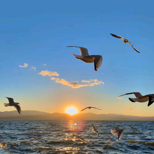 溪溪优品甄选阁