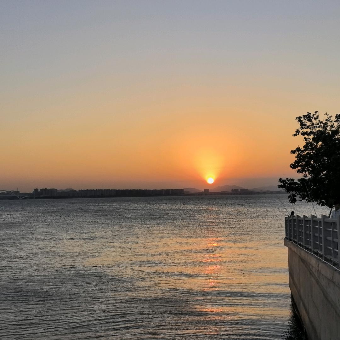 海达