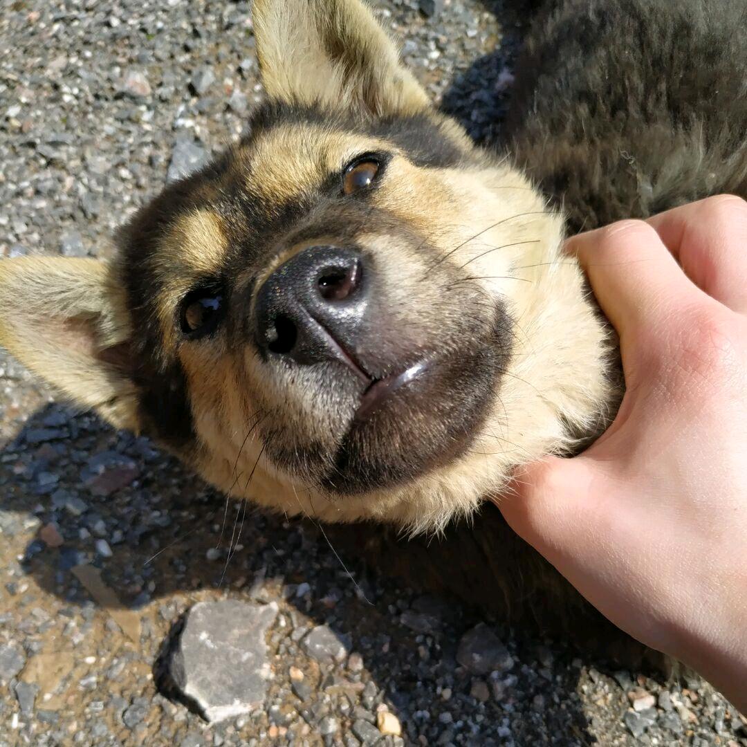 在玄武湖打太极的巴子