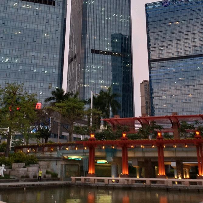 冠青