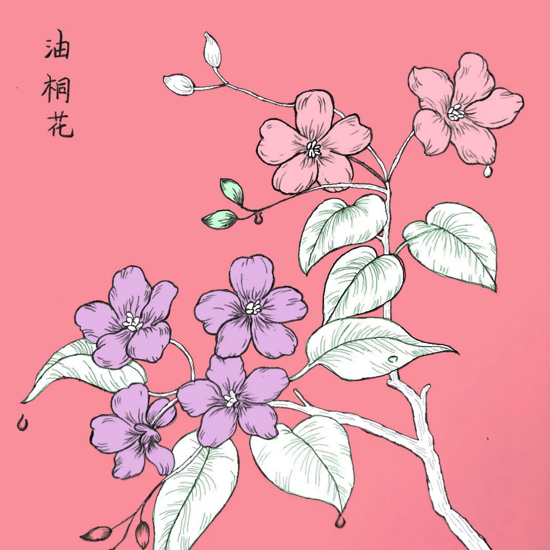 有钱花头像