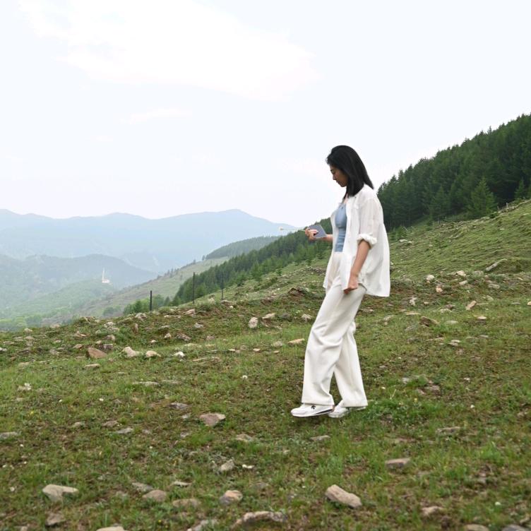 五台山小羽毛