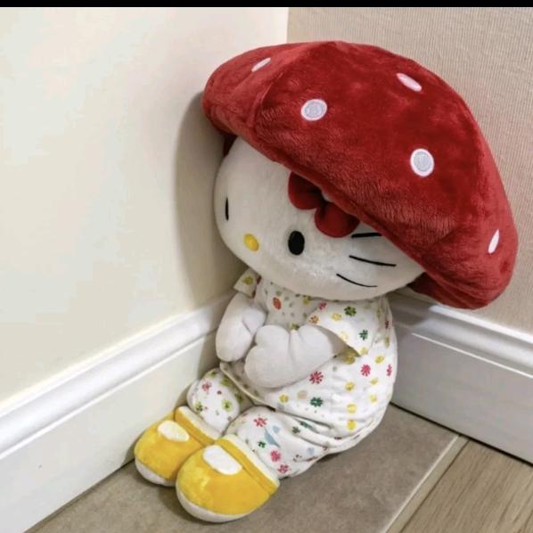肥迪迪