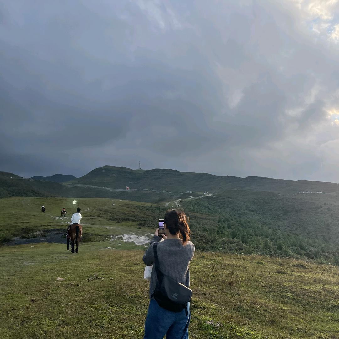至尊宝子（减肥版）