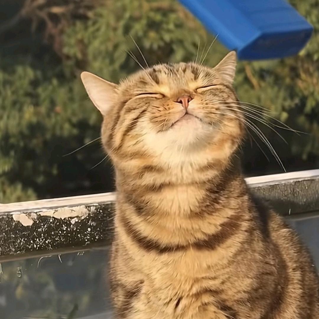 大铁棍子医院、捅主任