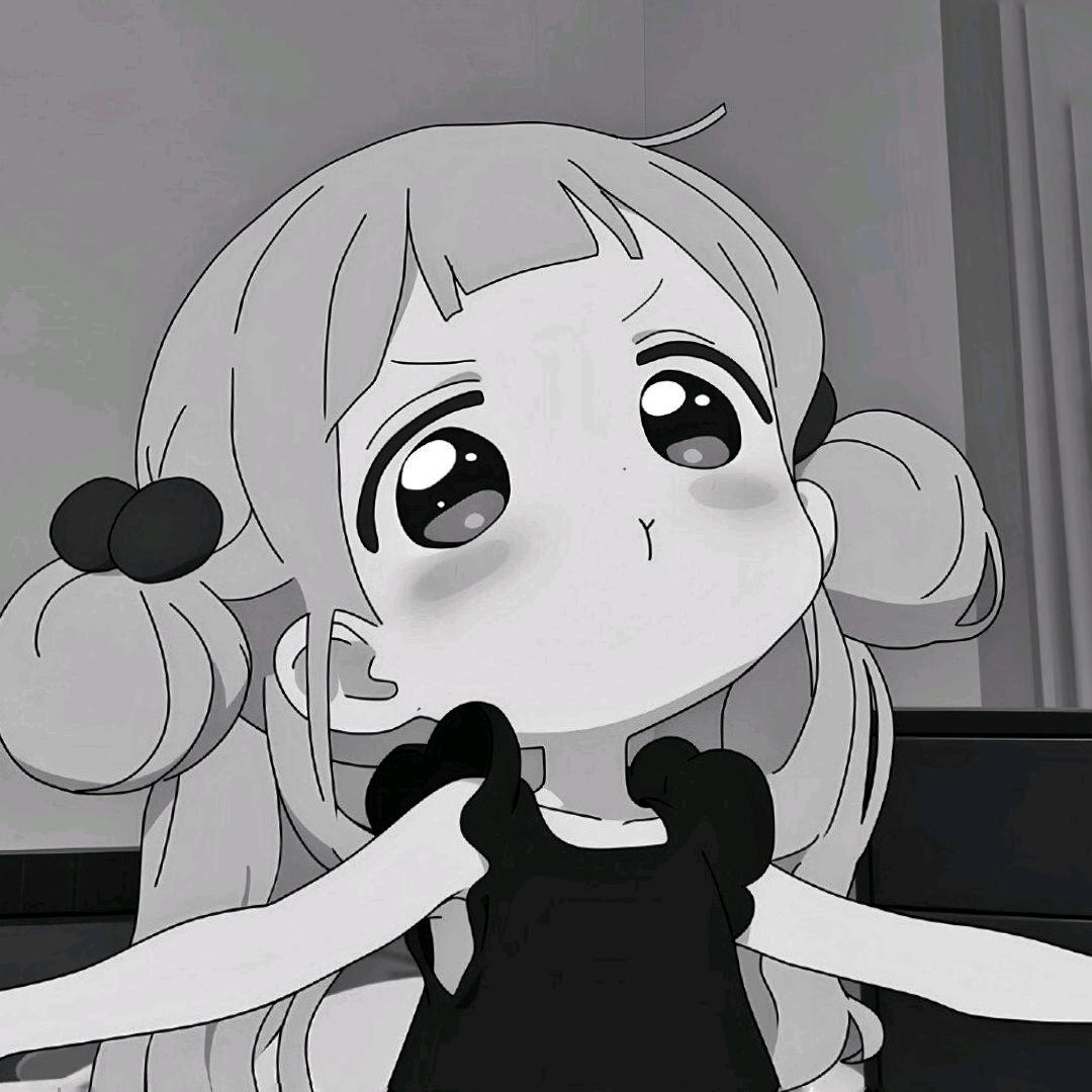 呆瓜不会飞