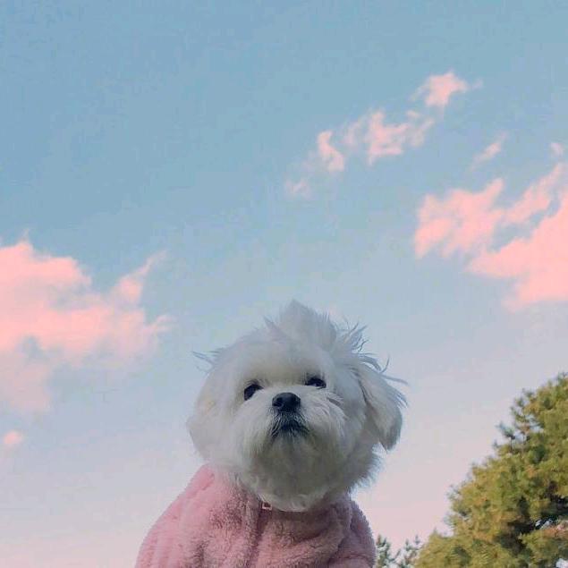 💞꧔ꦿ᭄格局໑ຼ₀₂₃💕