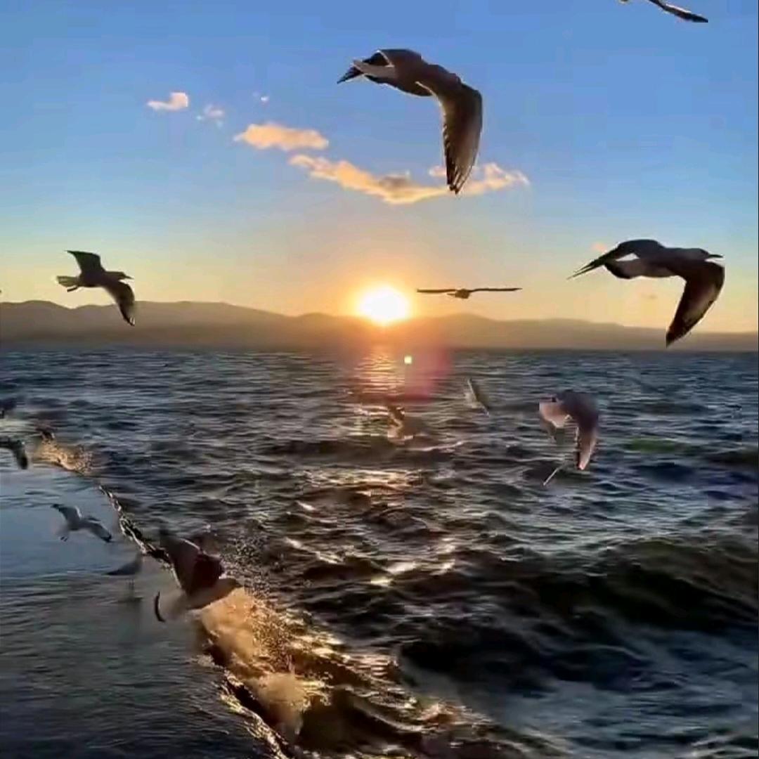 流年如梦