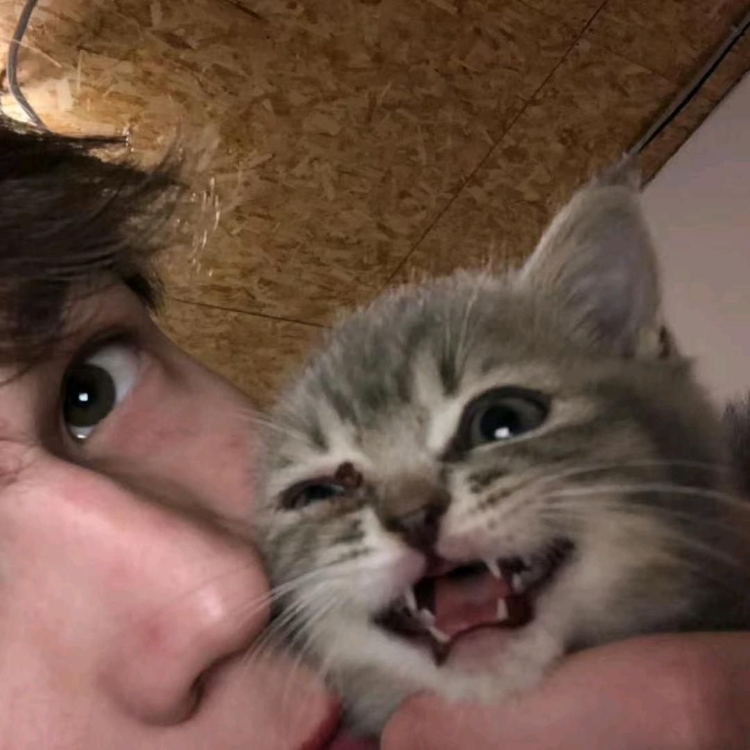 南墙